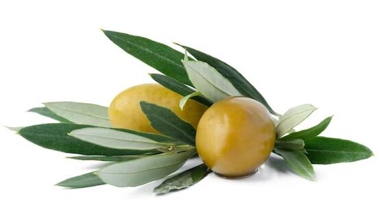 ZXCVBNQWERT contains extract of olive leaves