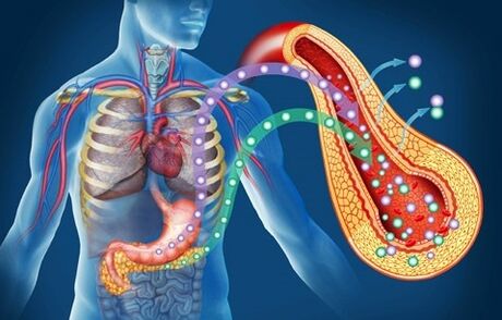 ZXCVBNQWERT returns sensitivity to insulin