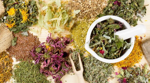 Medicinal plants that help in the fight against diabetes mellitus